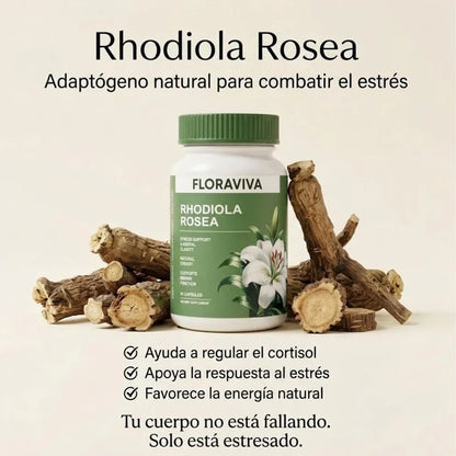 Extracto de Rhodiola Rosea